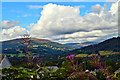 Towpath view, Mon and Brec at Gilwern