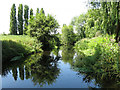 The River Colne west of Wallingford Road