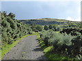 Looking towards the Touch Hills escarpment