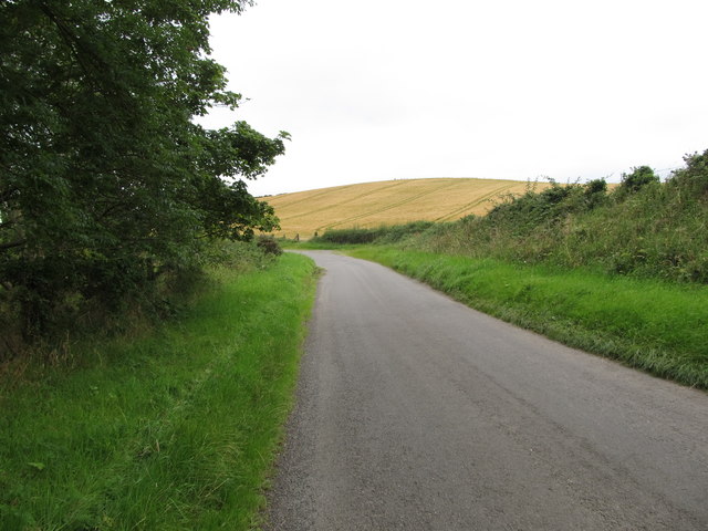 Abbacy Road in the Townland of Ballywaddan