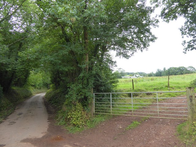 Hayne Lane and field gateway