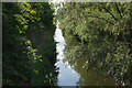 Grand Union Canal (Slough Branch), near Iver