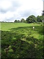 Field and footpath at Fillbrook