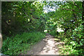 Neath Port Talbot : Footpath