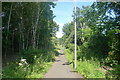 The Southern Upland Way heading towards Tweedbank station