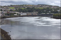 C4316 : River Foyle, looking south from the Peace Bridge, Derry by Robert Eva