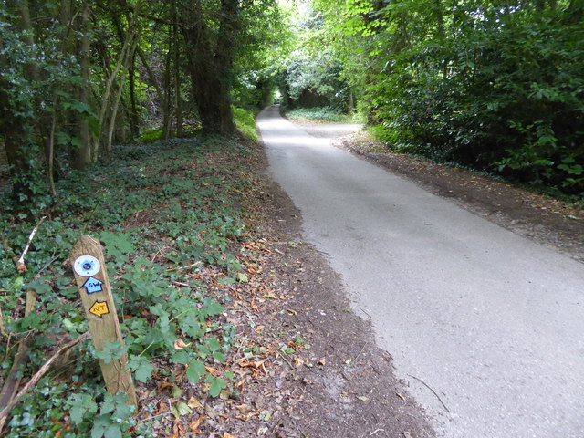 London Countryway in Surrey (26)