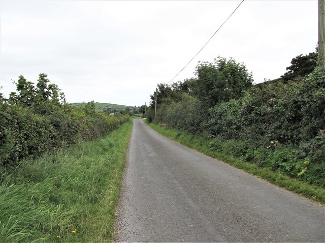 View East along Lough Cowey Road