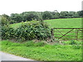 Grazing land and woodland on the rising slopes south of Lough Cowey Road