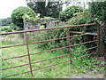 Roofless ruin alongside Mountain Road