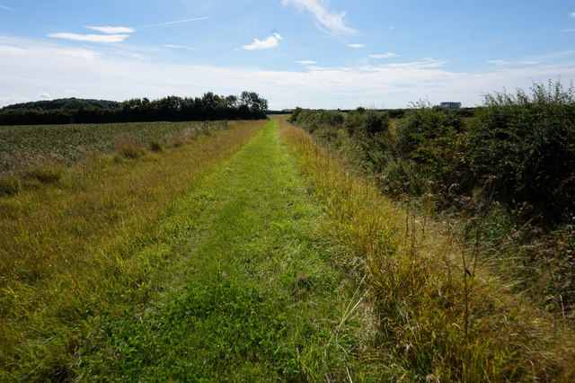 Path leading to Easingwold Farm
