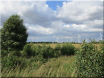SE7317 : Goole Moors and Goole Fields wind farm by Jonathan Thacker