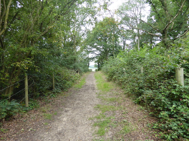 Path out of the woodland in Havering Country Park