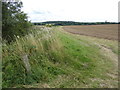 The London LOOP on its way to Havering Country Park