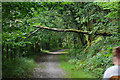 Neath Port Talbot : Bryn Cycleway