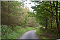 Neath Port Talbot : Road