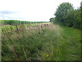 Footpath near Brant Broughton