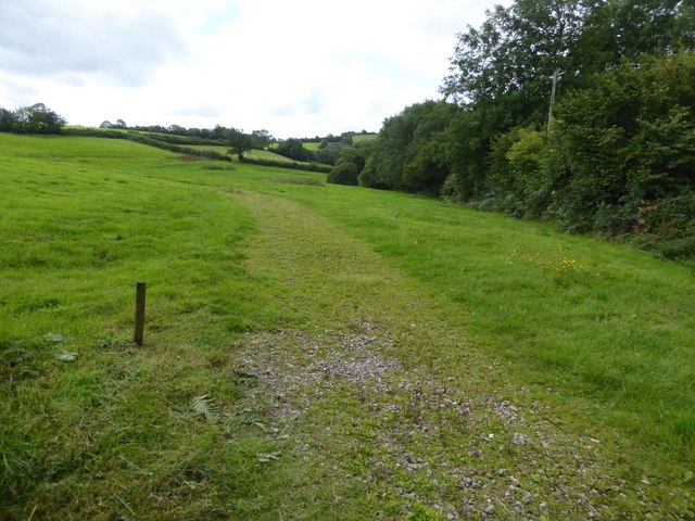 Track across field near Down Farm