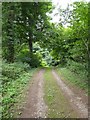 Track to Tuckhill church