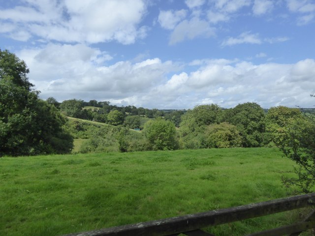 Fields and woodland opposite Worth Farm