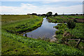 Beverley & Barmston Drain