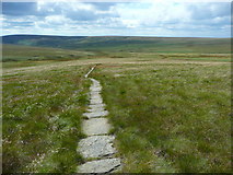 SE0603 : The Pennine Way on Grains Moss by Humphrey Bolton