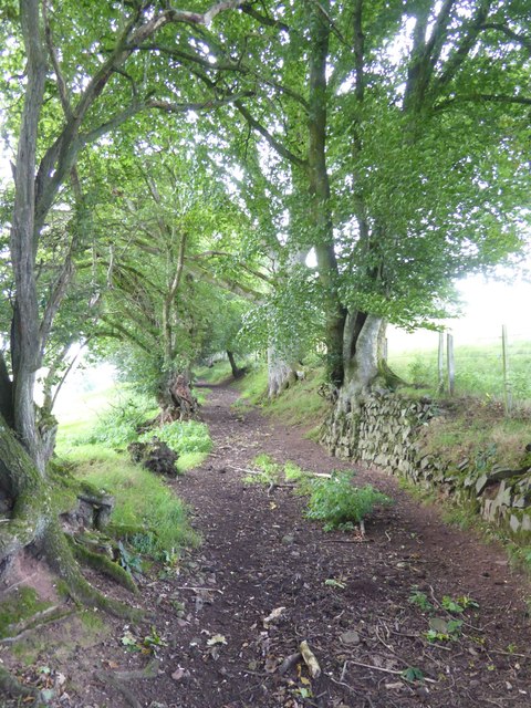 Path along hillside east of Little Silver