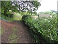 Path south-east of Ashilford