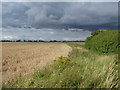 Dramatic sky on the flatlands