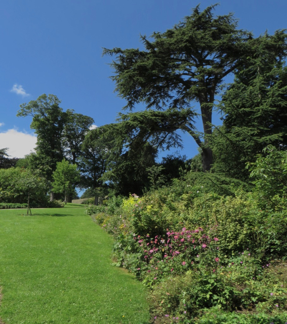 The Shrubbery, Cusworth Park © Paul Harrop cc-by-sa/2.0 :: Geograph ...