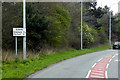 SJ3453 : B5445, Chester Road, near Pandy by David Dixon