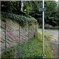 Cycle route 46 direction sign on a Brynmawr corner