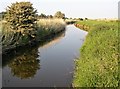 The Pannel Sewer in the Pannel Valley near Pannel Farm