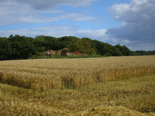 The ruins of Roehill Farm