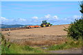 Ploughing near Whitsomehill