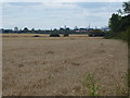 Farmland with a view