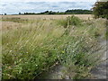 Looking towards Hog Hill