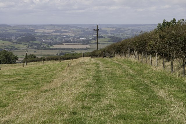 Route with other public access south of Eggardon Hill