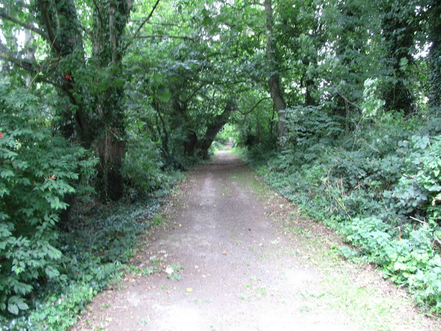 Nugent's Wood Path