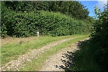 SY5692 : Junction  of paths north of North Barn Farm by Becky Williamson