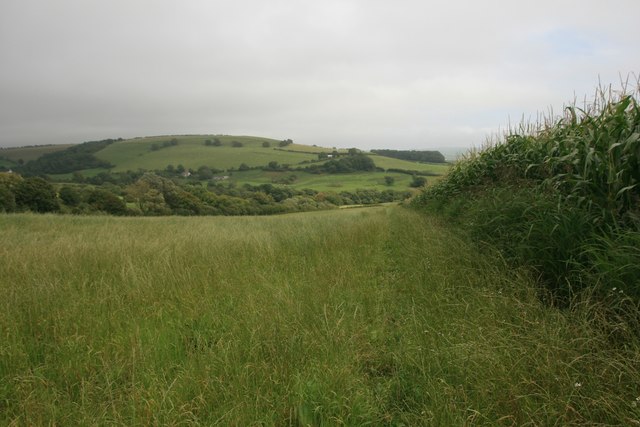 Bridleway east from Chilcombe