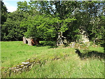 NY9056 : Old railway goods van and ruined building on a haugh by the Rowley Burn (3) by Mike Quinn