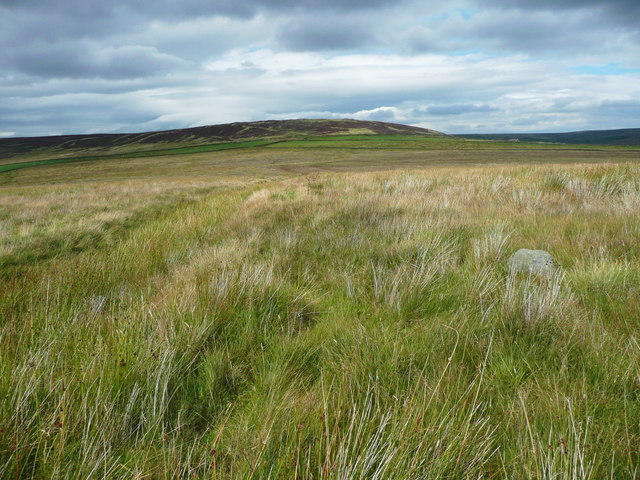 A wide ditch alongside Wadsworth FP44 on Black Hill