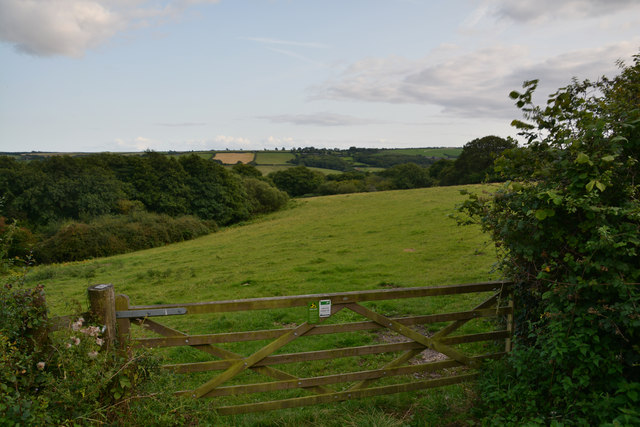 West Dorset : Grassy Field & Gate