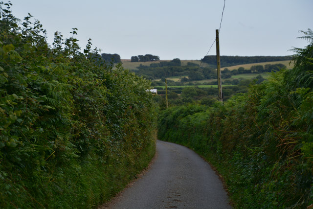 West Dorset : Clift Lane