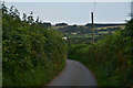 SY5598 : West Dorset : Clift Lane by Lewis Clarke