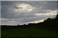 West Dorset : Grassy Field