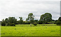 Field near to Hunderthwaite