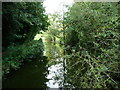 Pinxton Arm of the Cromford Canal, looking west