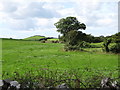 Grazing land on the south side of Ballyfounder Road